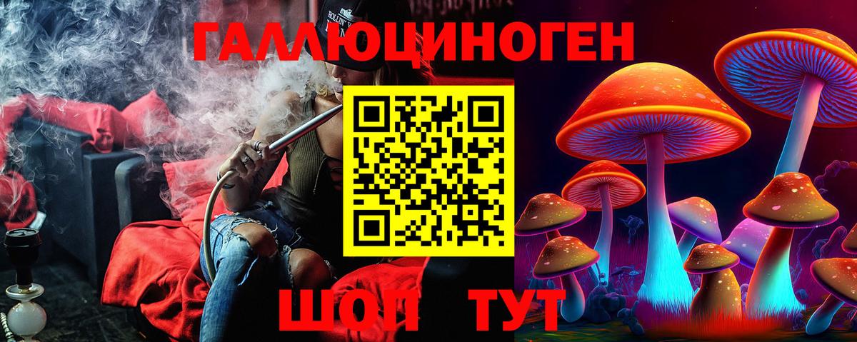 Псилоцибиновые грибы Psilocybe  Вход с VPN  Галлюциногенные грибы прущие грибы  купить закладку  Юрга 