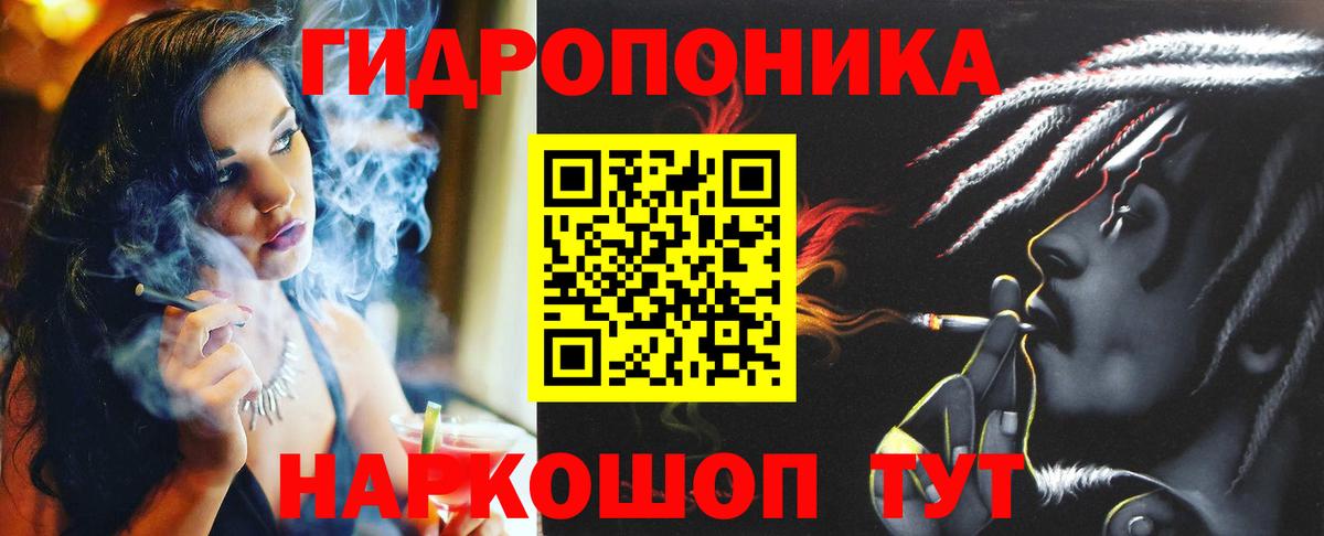 Бошки марихуана MAZAR  МАРИХУАНА гибрид  Вход с VPN  Юрга 